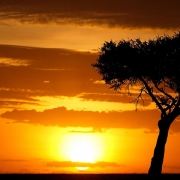 8 Days Tanzania Safari