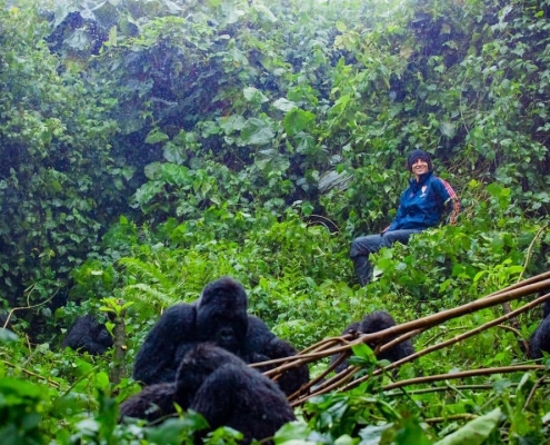 9 Days Rwanda Gorilla Trekking