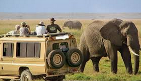 6 Days Masai Mara and Serengeti safari