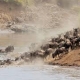 3 Days Wildebeest migration Safari