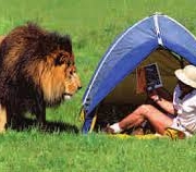 3 Days Ngorongoro  Serengeti safari