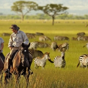 Masai Mara national reserve