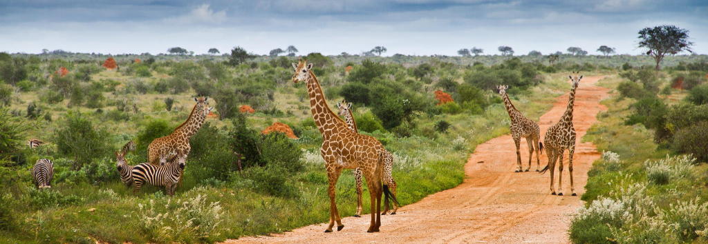 tsavo east national park