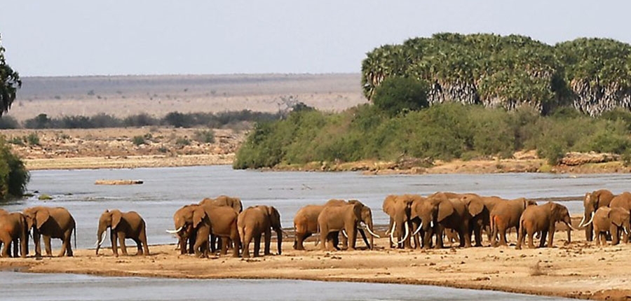tsavo west national park 