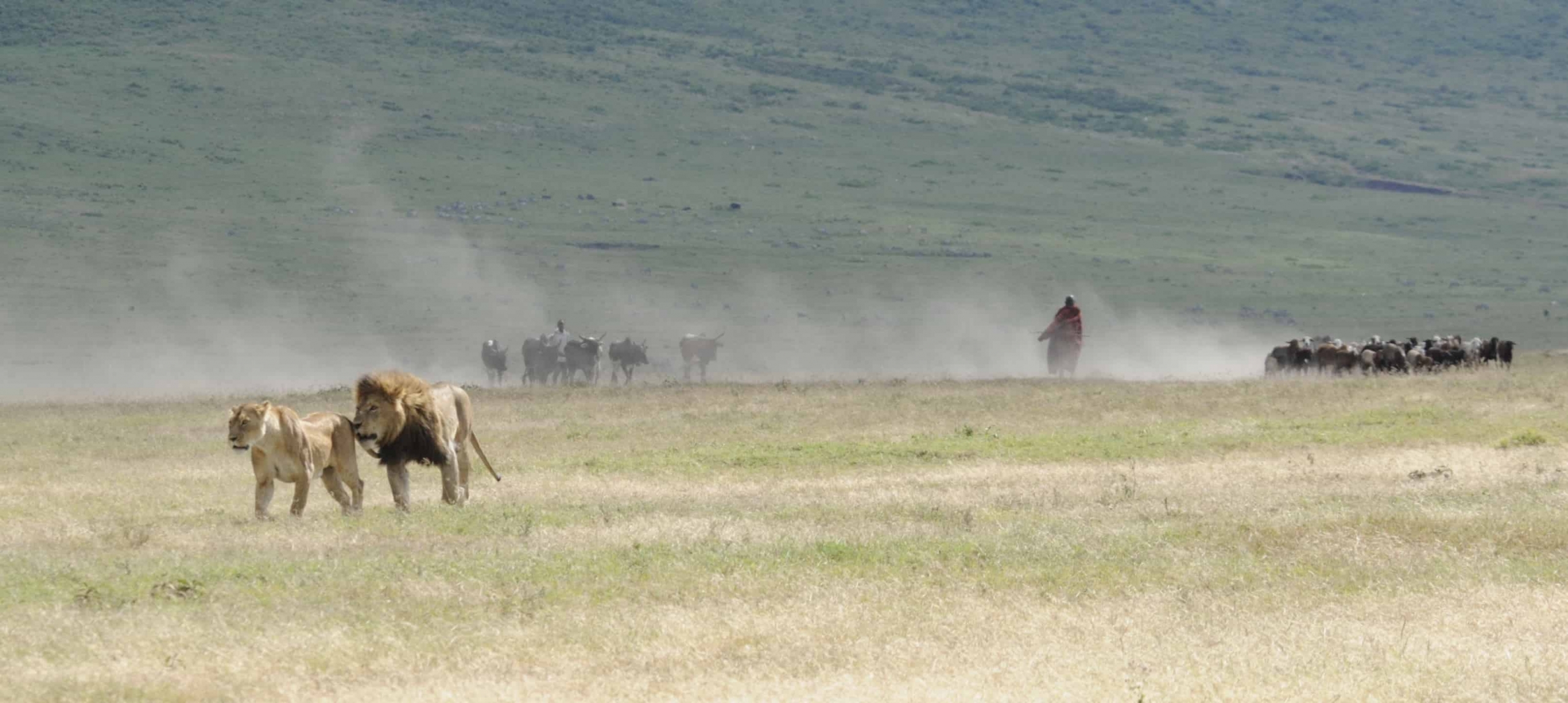 Ngorongoro crater size