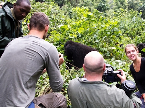 Uganda Gorilla trekking tours