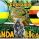 Gorilla trekking Rwanda vs Uganda