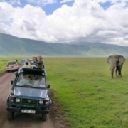 Activities in Ngorongoro crater
