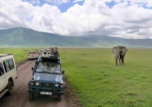 Activities in Ngorongoro crater