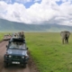 Activities in Ngorongoro crater