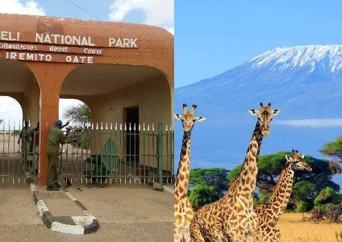 attractions in Amboseli National Park