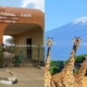 attractions in Amboseli National Park