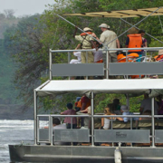 3 Days Murchison falls safari