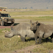 4 days Serengeti and Ngorongoro crater