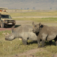 4 days Serengeti and Ngorongoro crater