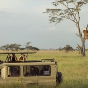 3 Days Serengeti Safari