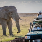 8 Days Uganda Safari